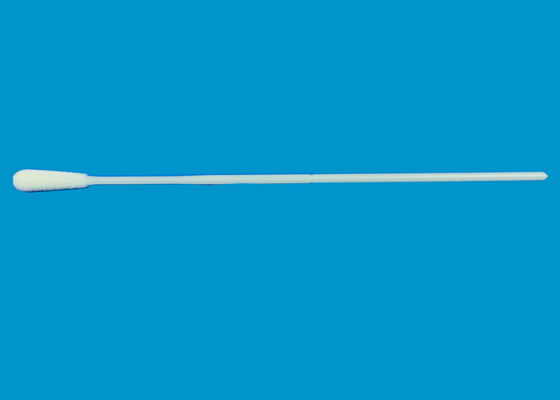 A coleção de espécime de nylon da fibra reuniu Iclean para limpar orofaríngeo