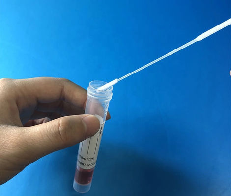 Provando cotonetes orais do ADN da fibra de nylon com ponto de ruptura moldado na vara do cotonete